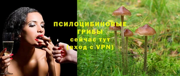 ешки Алзамай