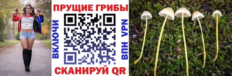 Псилоцибиновые грибы GOLDEN TEACHER  Заволжье 